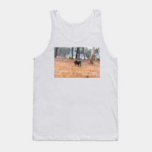 backyard wanderings Tank Top